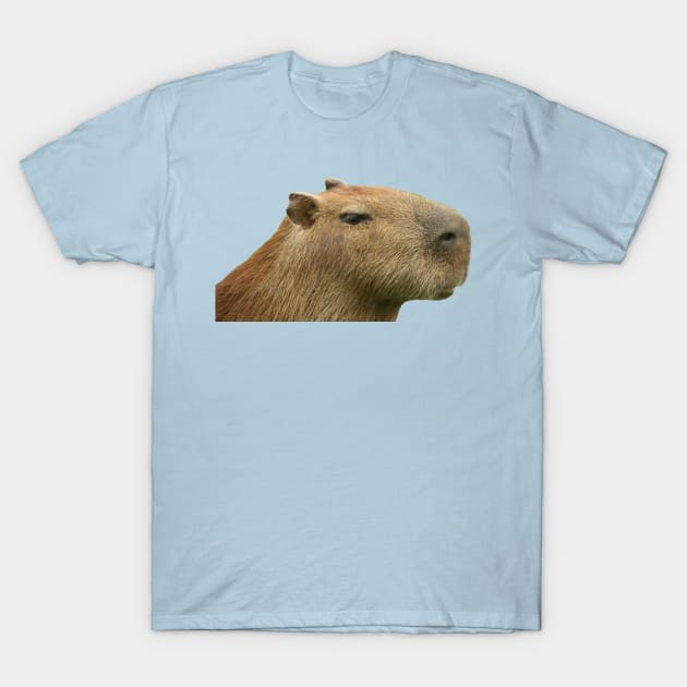 Capybara Profile T-Shirt by xesed